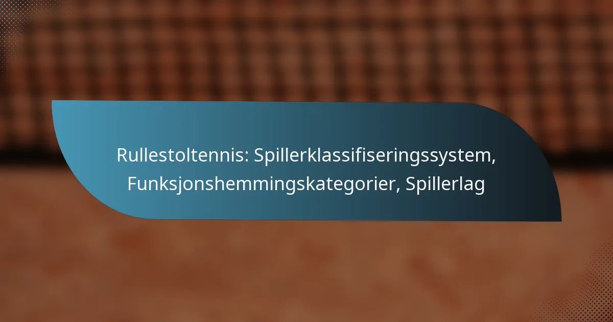 Rullestoltennis: Spillerklassifiseringssystem, Funksjonshemmingskategorier, Spillerlag